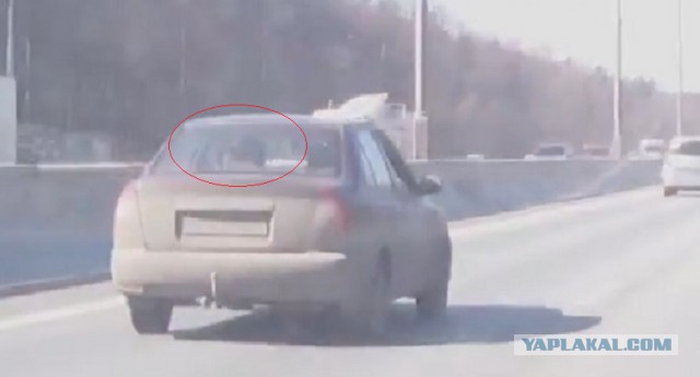 Жесткий замес на МКАДе