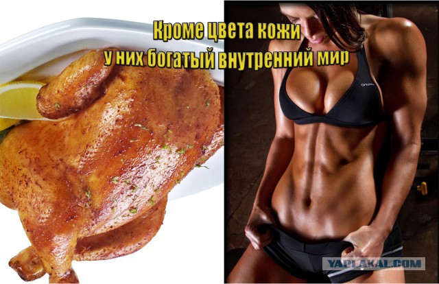 Русские красавицы фитнес-бикини на ЯП
