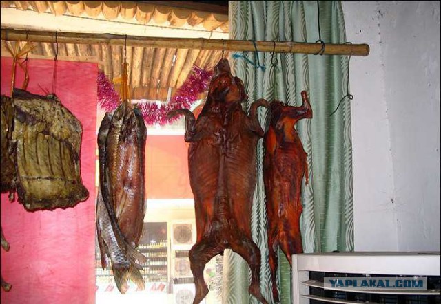 Короткие рассказы ©ekimosss