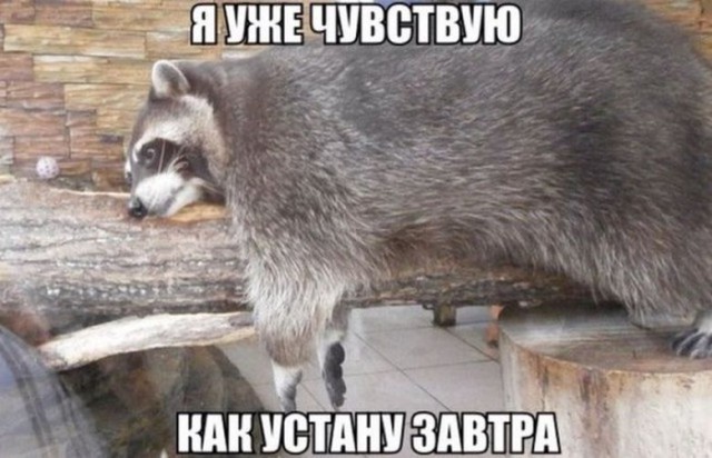 Очередная подборка картинок из интернета
