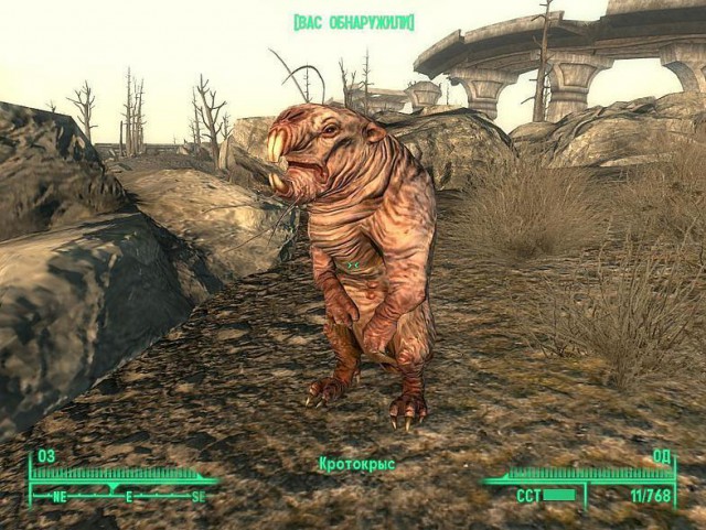 Гигантскую крысу нашли на детской площадке в Лондоне