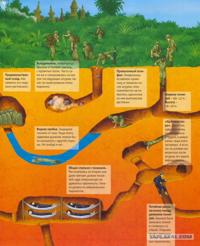 Муравьиное братство: пьяные оргии, «Поза чемоданчика» и «Не пади врагу»