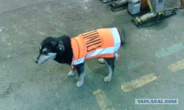 Суровый Волгоградский маркетинг