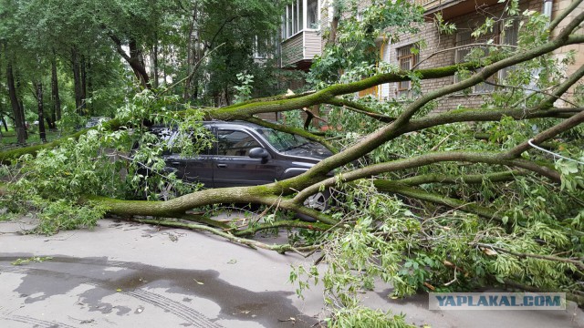 Сильная гроза в Москве и ее последствия