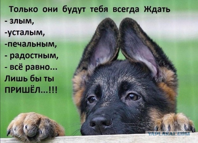Есть смешные (картинки)