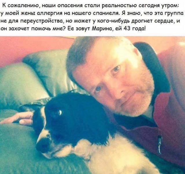 Очередная порция веселых комментов из соцсетей.