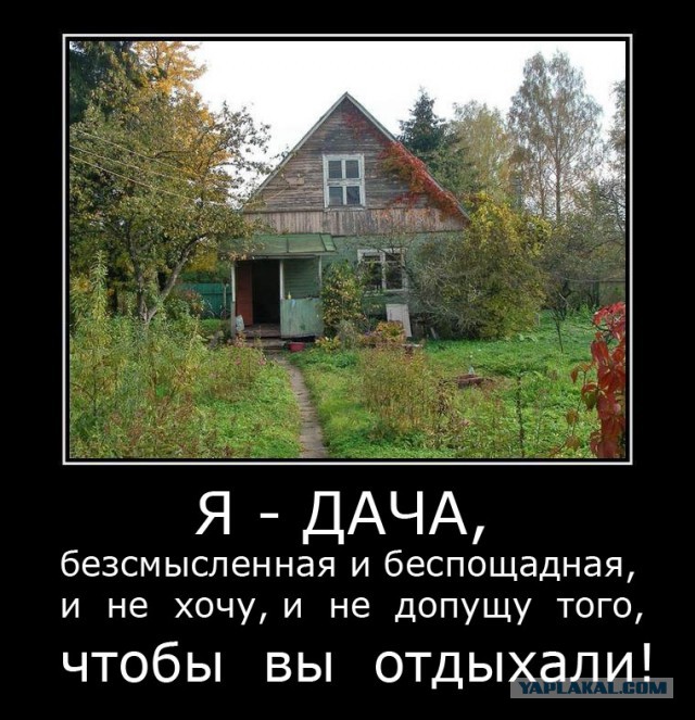Мечтаете о лете? Скоро вы будете молить о пощаде!