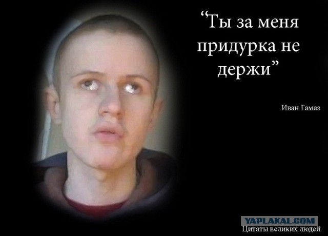 Самые известные мемы в истории Интернета