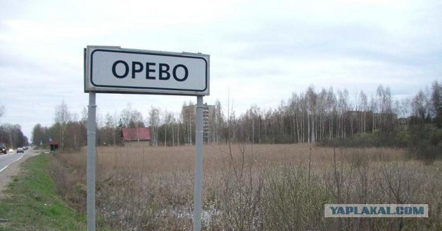 Немного картинок на этот вторник