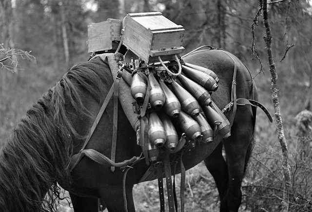 Неканонические военные и послевоенные фотографии времен Второй Мировой войны