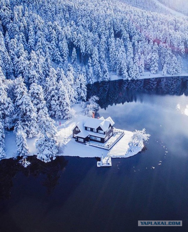 Калейдоскоп Картинок