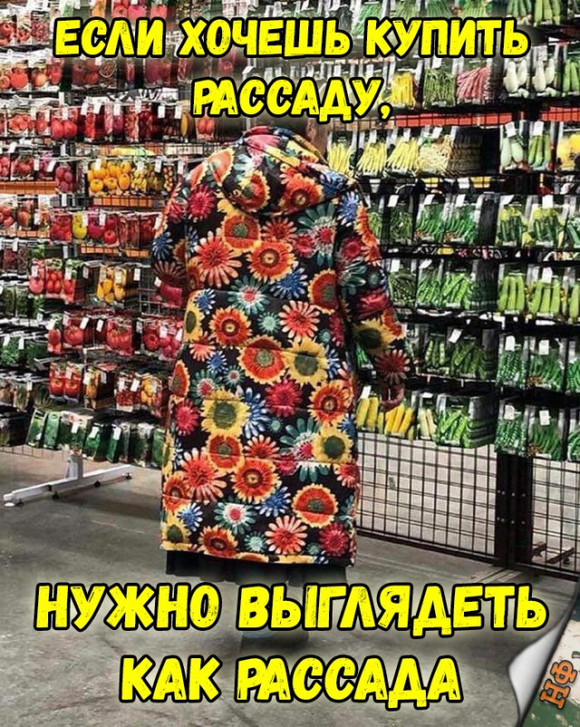 Нестандартный юмор