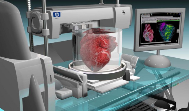Впервые в мире: ученые Израиля напечатали живое сердце на 3D-принтере