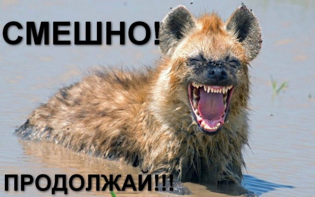 Немного картинок