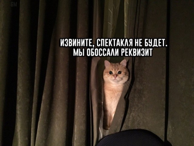 Немного картинок для настроения