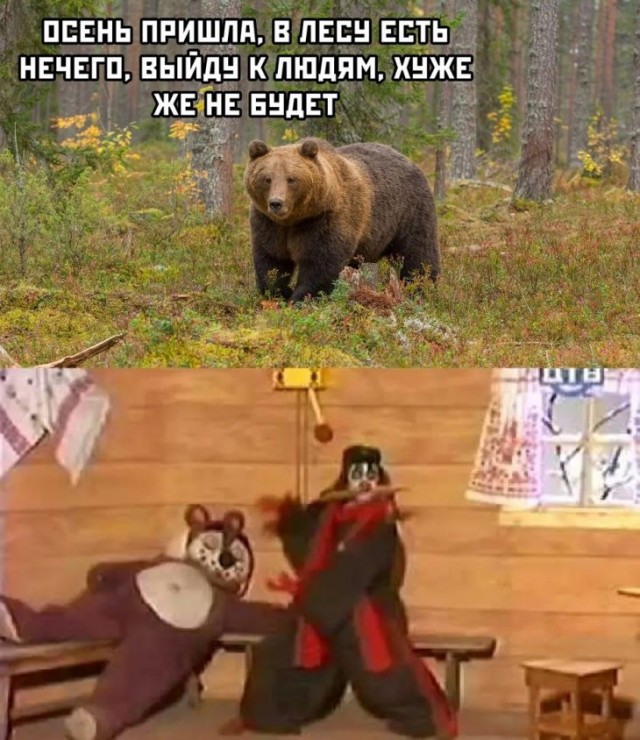 Немного картинок для настроения