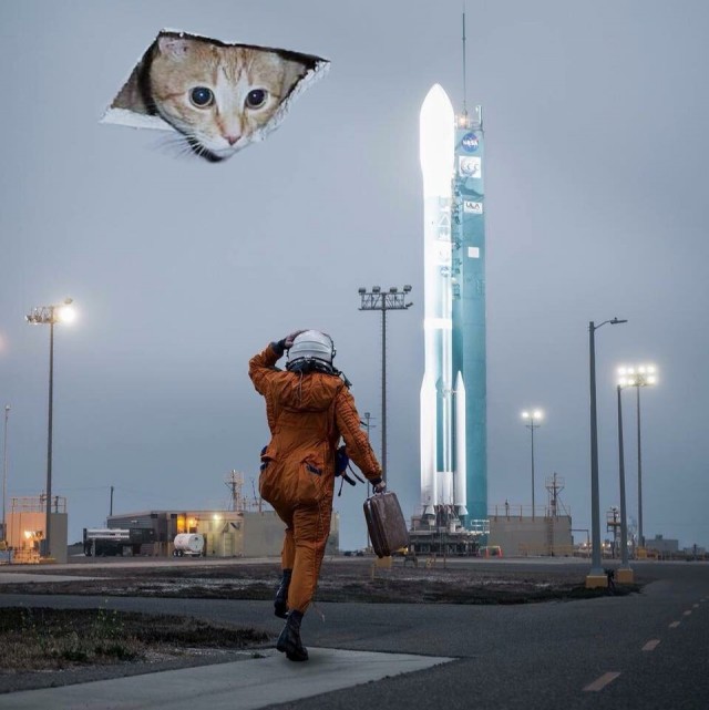 Ку-ку, человек!