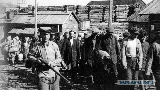 Перспектива будущего - трудовые лагеря