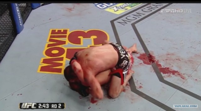 БОКС/MMA....