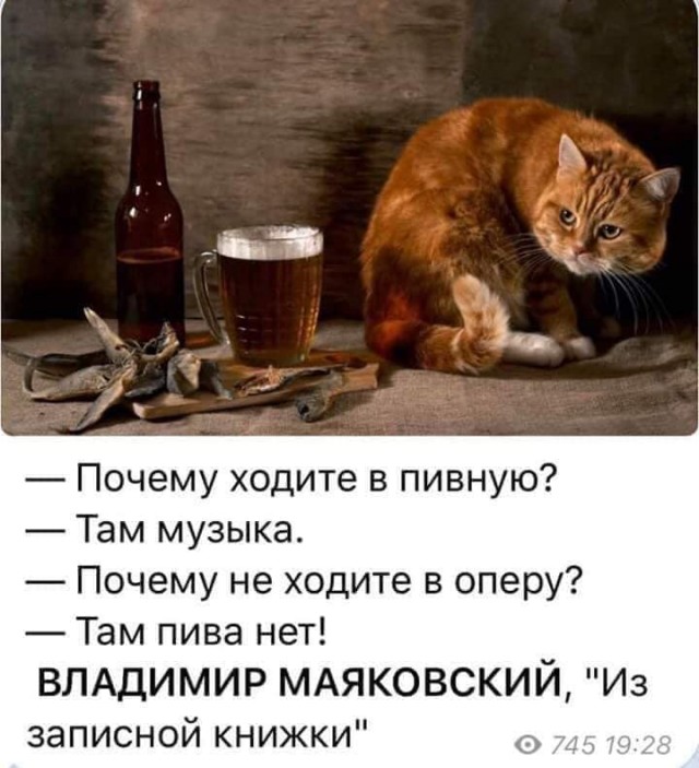 Древние мемы с ВК. Для тех кто забыл #6