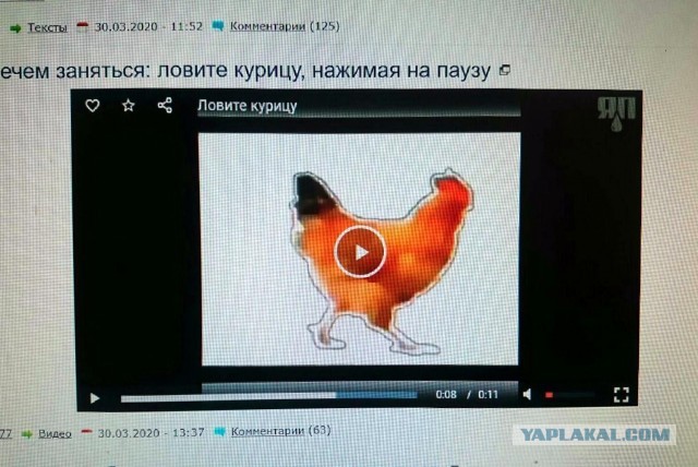 Кому нечем заняться: ловите курицу, нажимая на паузу