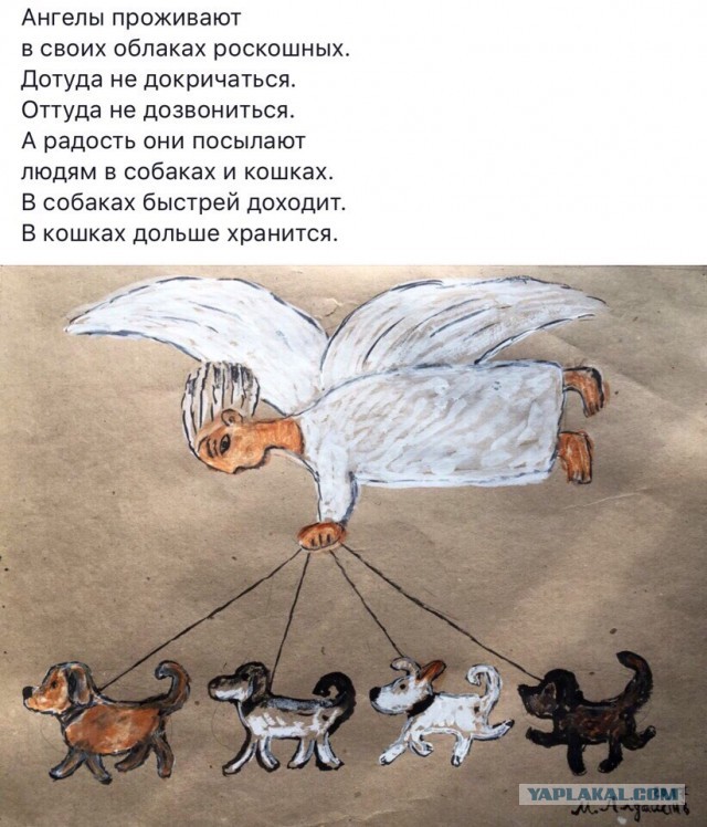 Я держался до последнего... но согласился на котенка