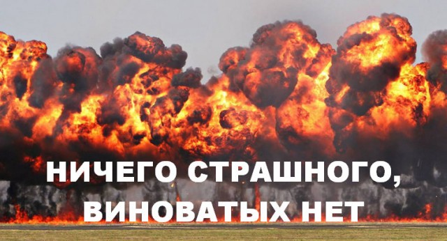 В Тольятти стая бродячих собак напала на детей, гуляющих на площадке