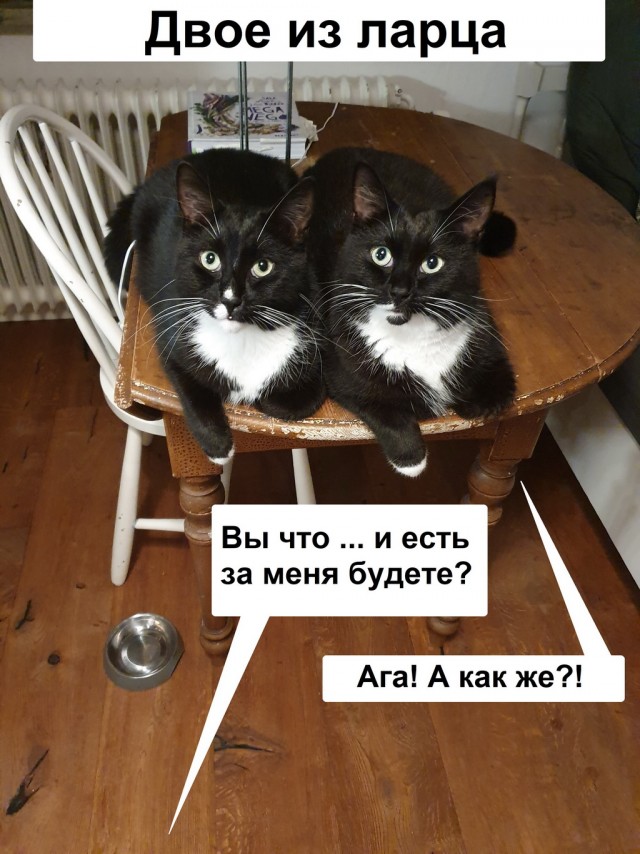 Да уж картинки прикольные