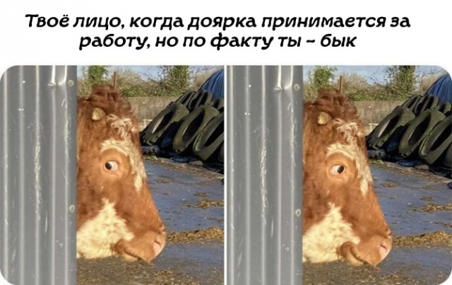 Ты уже достаточно взрослый