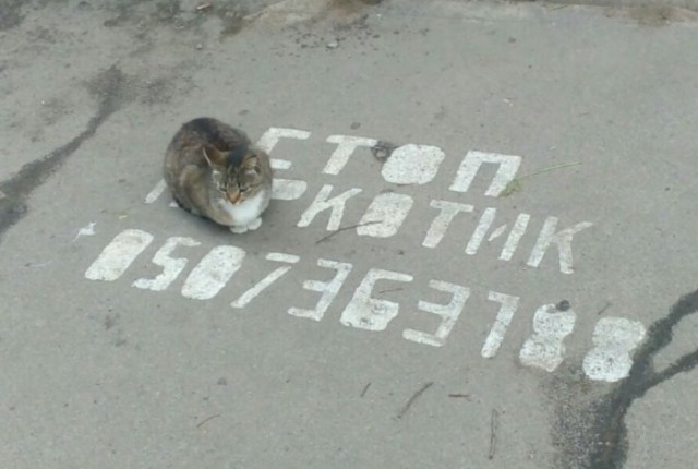 Дурацкие картинки