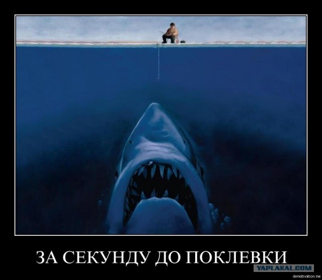Вот это рыбалка. Не язь!