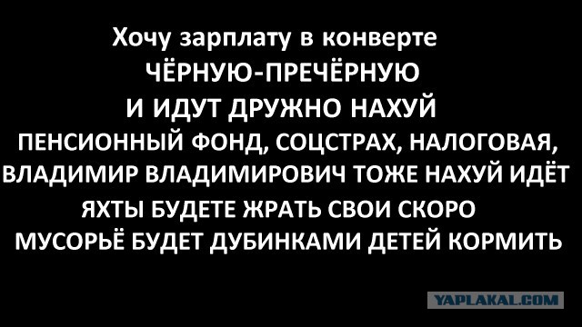 Молодые устремились в тень