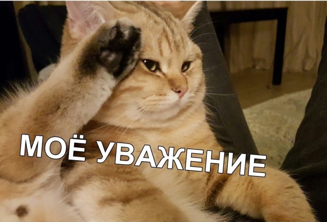 Родители известного режиссёра расчленили сына за отказ жениться