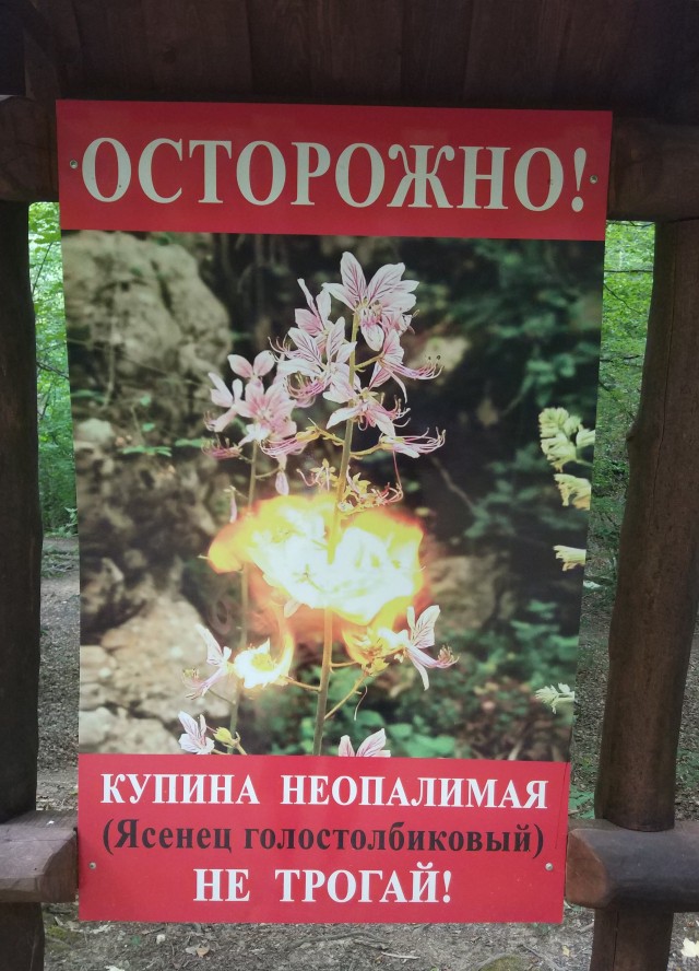 Вышли на пикник, а тут такое...