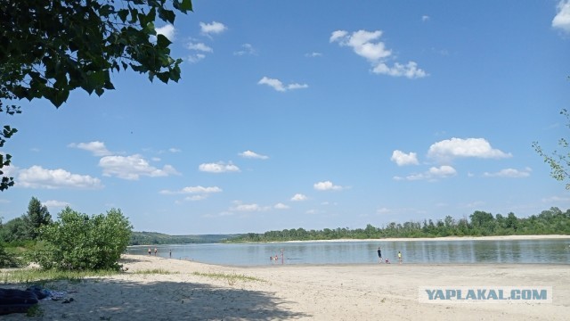 Бабы козлы
