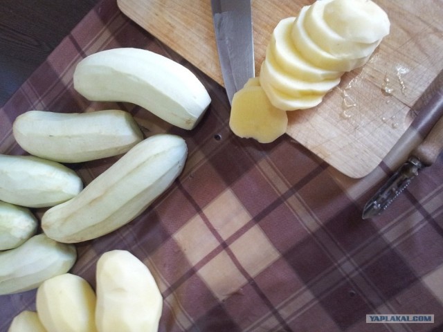 Пятничные посиделки на теплотрассе ©