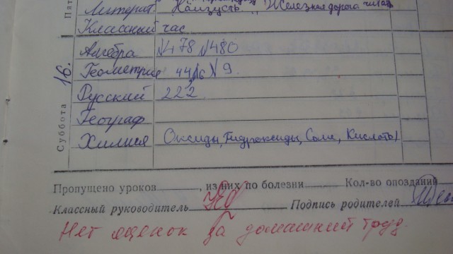 Дневник школьный, обыкновенный