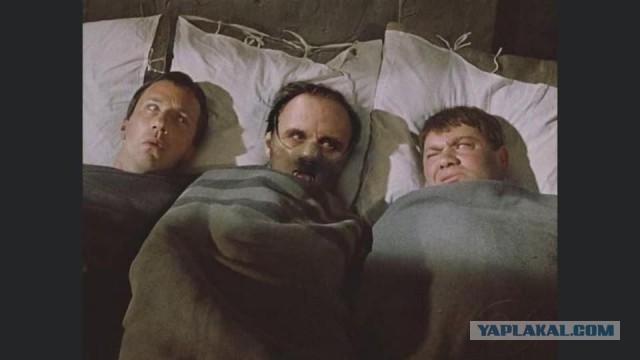 Бредзона 21.11.2021