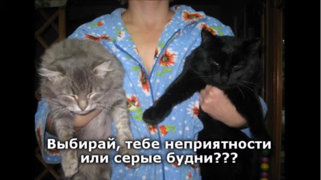 Так себе картинки 27.02.22