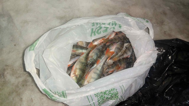 Рыбалка зимой на Ветлуге