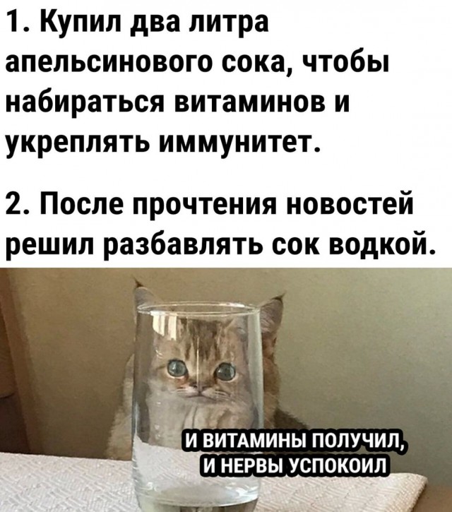 Пандемия. Коронавирус и съехавшие крыши. Россия и мир. Часть 31.