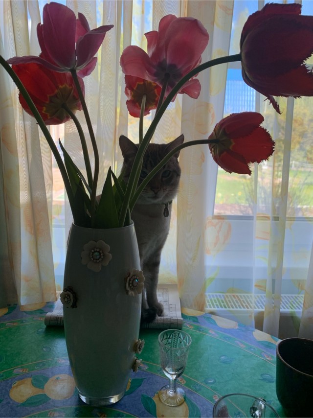 Просто позитив 2