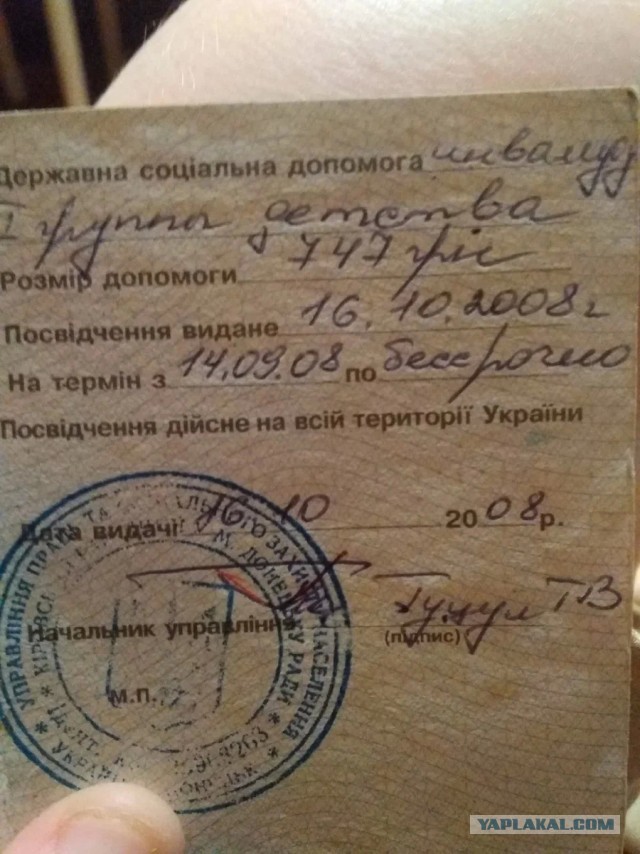 Котики в беде