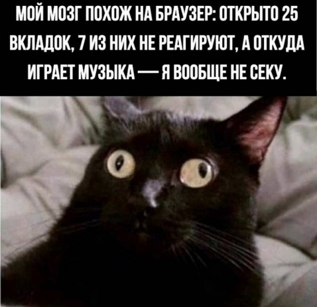 Картинки и мемы для настроения - 11