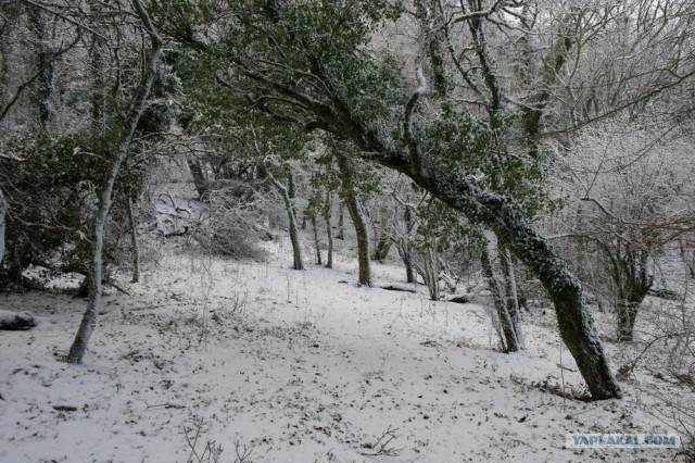 Крым. Терновка. Зимние дороги.
