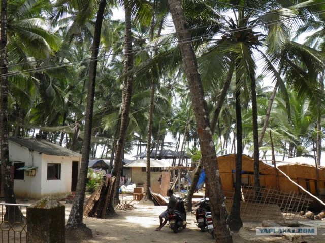 ГоА свои впечатления