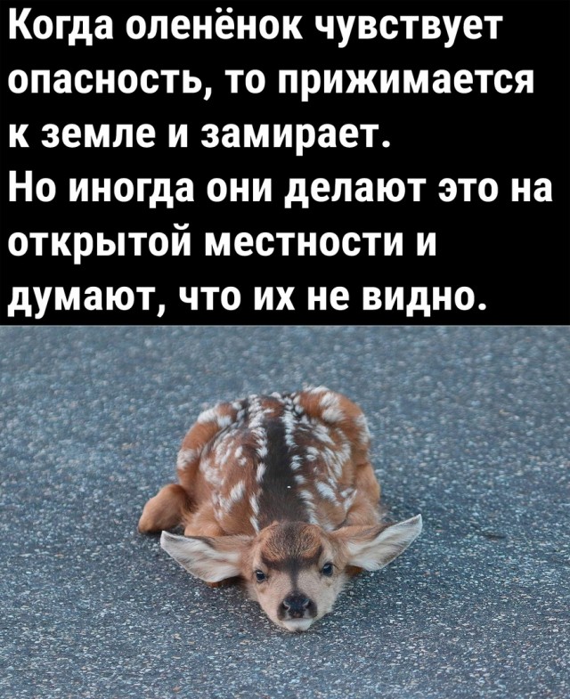 Так себе картинки 28.01.23