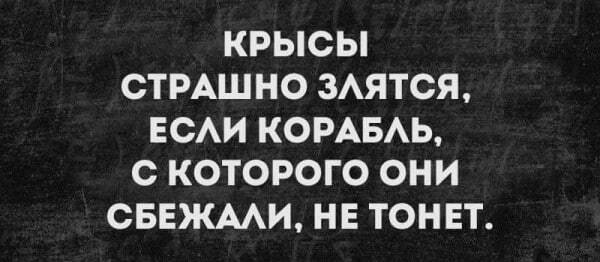 Для крыс это нормальное поведение