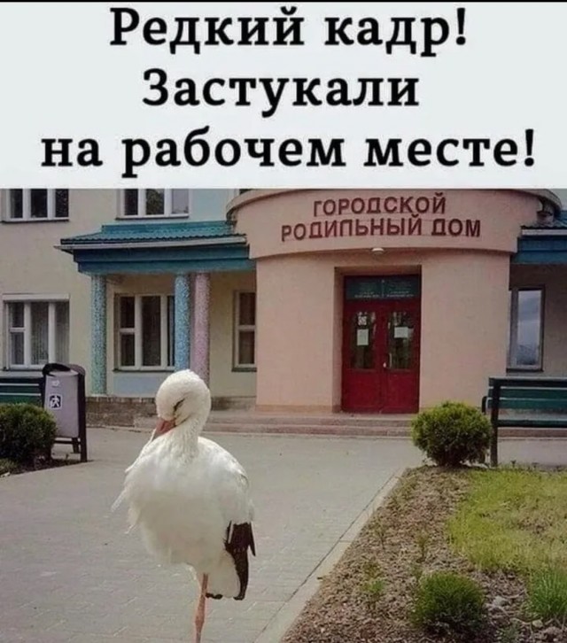 Всем хороших выходных - картинки и т.п.
