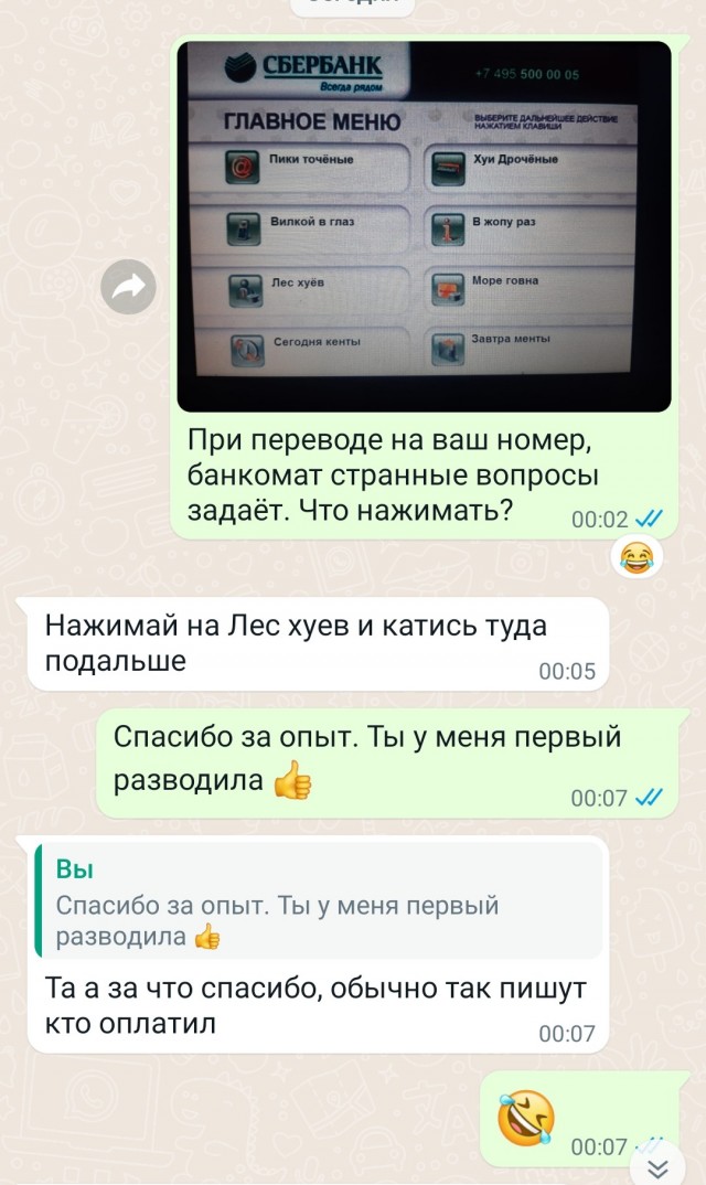 Попытка развода на Авито онлайн